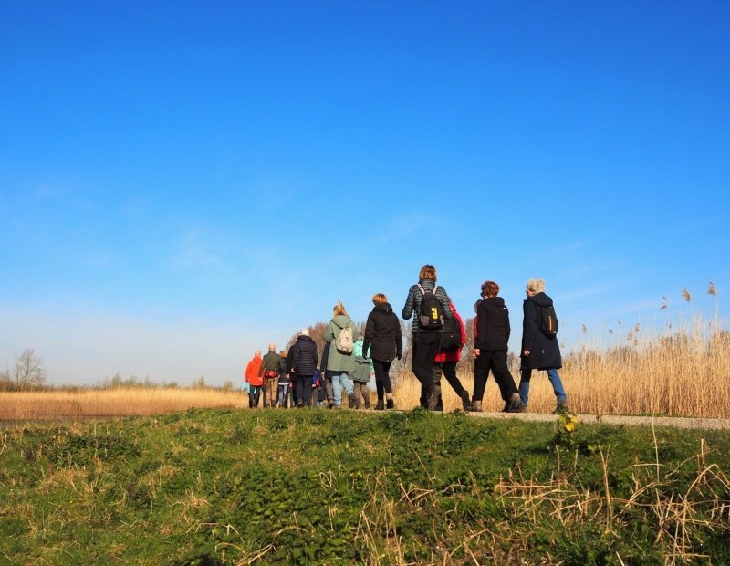 The discovery of Flevoland