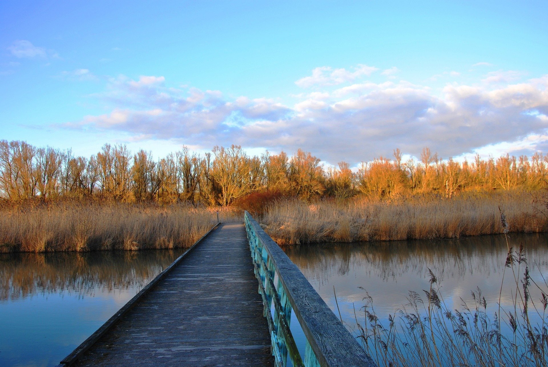 Vakantie in Flevoland