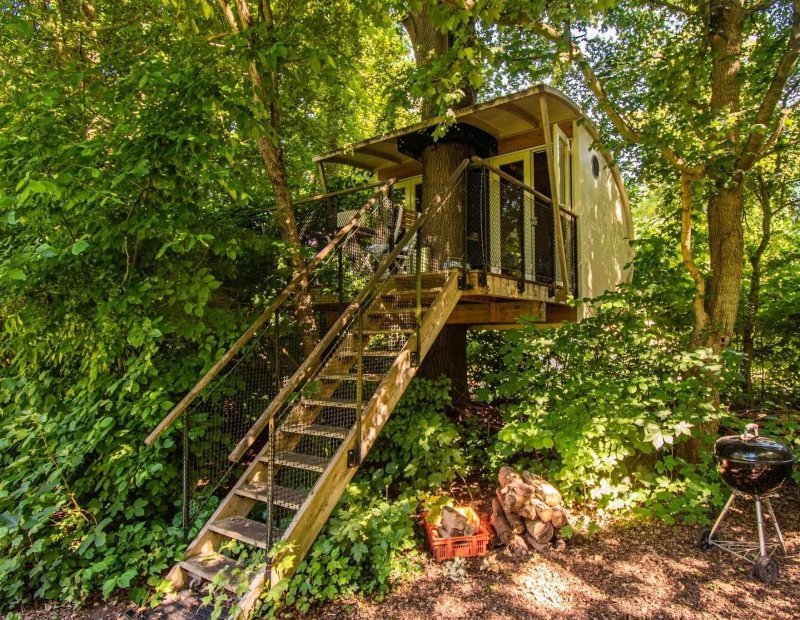 Find it higher up in our treehouse